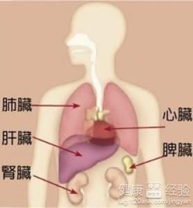 風濕性心髒病二尖瓣膜嚴重損壞還能修好嗎