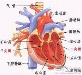 如何確診風濕性心髒病