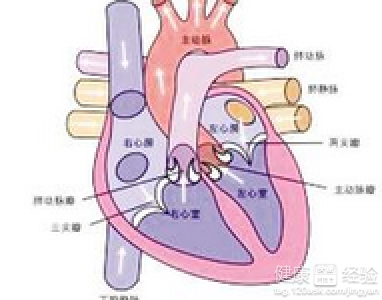 風濕性心髒病做手術治療的危險性大嗎