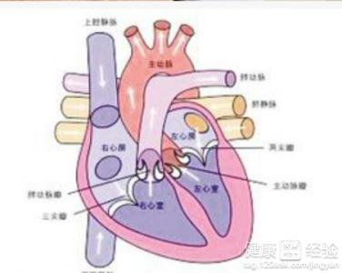 第2步