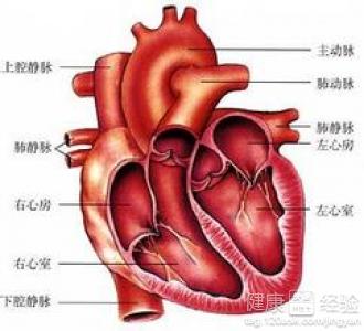 第1步