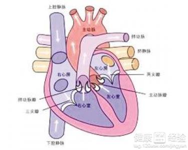 第1步