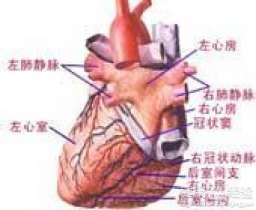 風濕性心髒病怎麼辦？？