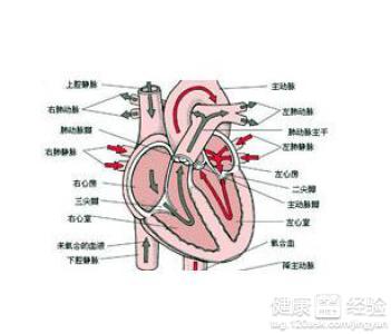 風濕性心髒病要怎樣護理