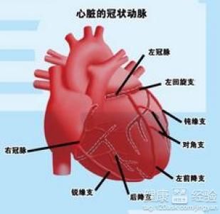 怎樣檢查心絞痛