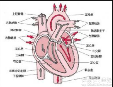 第1步