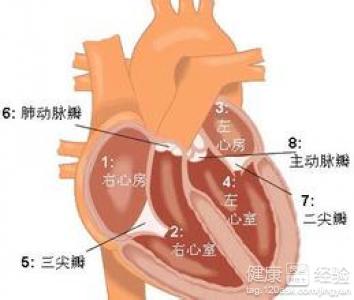 第1步