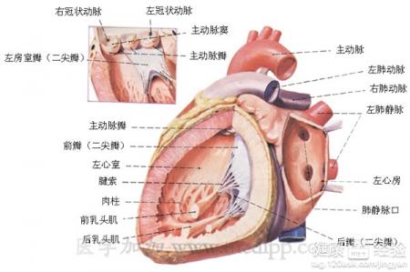 第1步