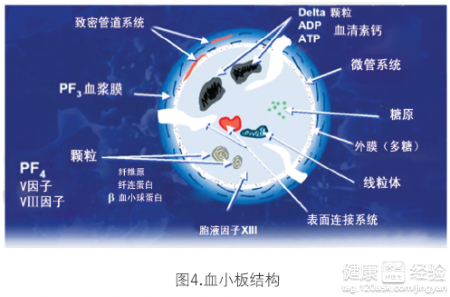 血小板含量偏高會引發心絞痛嗎