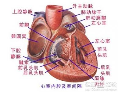 第2步