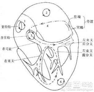 第1步