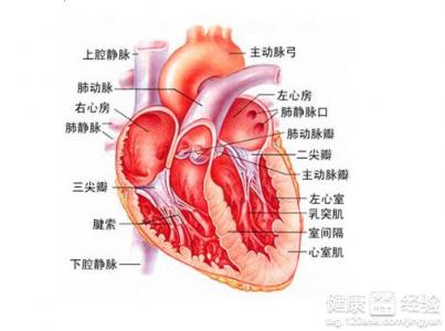 第1步