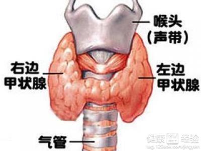 第2步