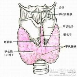 第1步