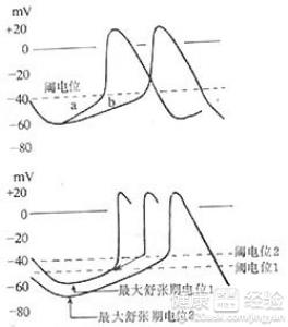 第1步