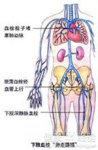 第2步