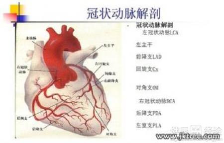 第1步