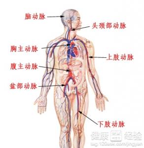 第3步