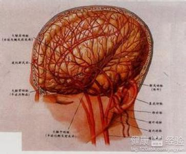 腦動脈硬化哆嗦冷