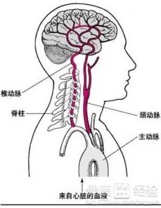 第1步