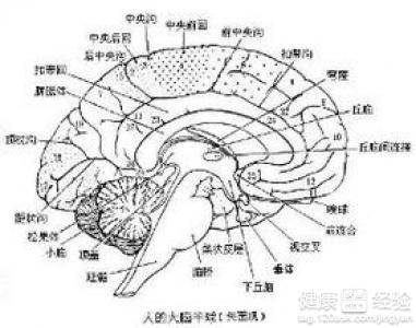 第1步