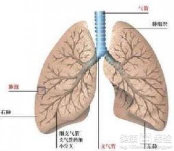 肺動脈栓塞會導致腿腫嗎