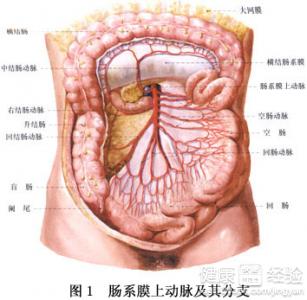 第1步