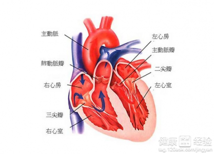 當心脖子疼是患上了心肌梗塞