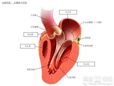 第1步