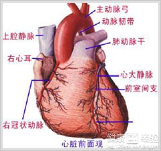 第1步