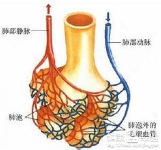 第1步