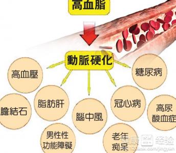 高血脂針狀