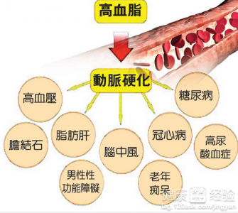 高血脂的危害有哪些