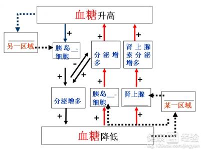 第1步