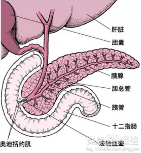 第1步