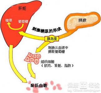 第1步