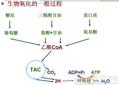 第1步