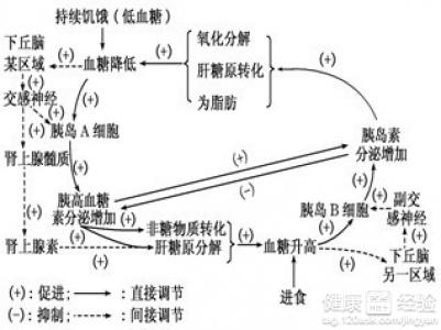 高血糖有點偏高怎麼辦啊