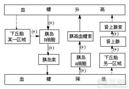 第1步