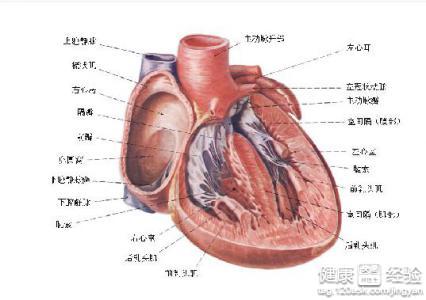 第1步