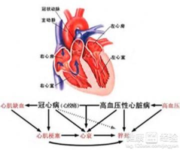 第3步