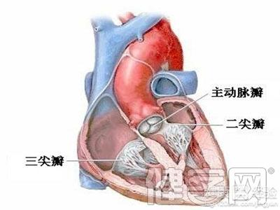 室性早搏的藥物治療方法