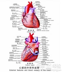 第1步