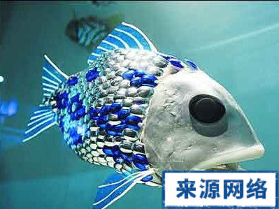 吃魚鱗降防高血壓心髒病 魚鱗 降血壓 防治心血管病