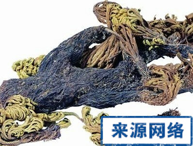 高血壓 心血管 高血壓預防 高血壓治療 高血壓驗方 高血壓偏