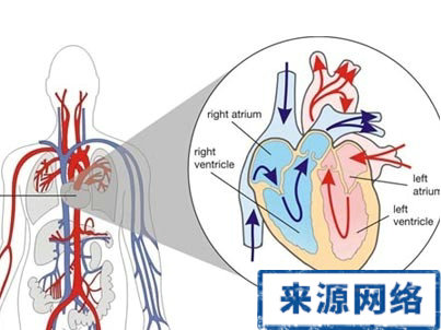 心髒病 心髒病誤區 心血管病