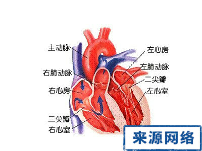 心髒病 缺水 補水 心梗 心肌梗塞 心肌梗死