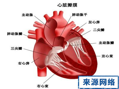 屏息 屏住呼吸 冠心病 猝死 心動過速