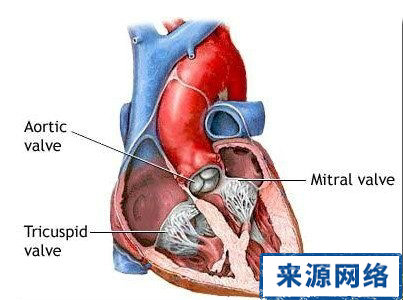 心髒病禁忌 心髒病 冠心病 心髒保健