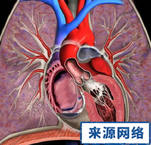 先天性心髒病 遺傳 病因 治療